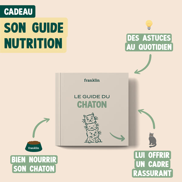 pack-decouverte-chaton