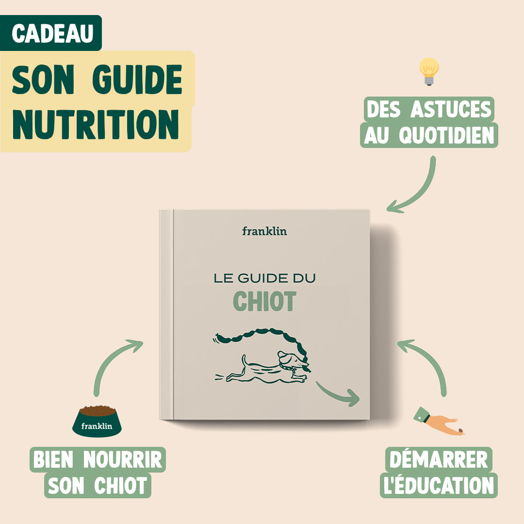 PACK DÉCOUVERTE CHIOT