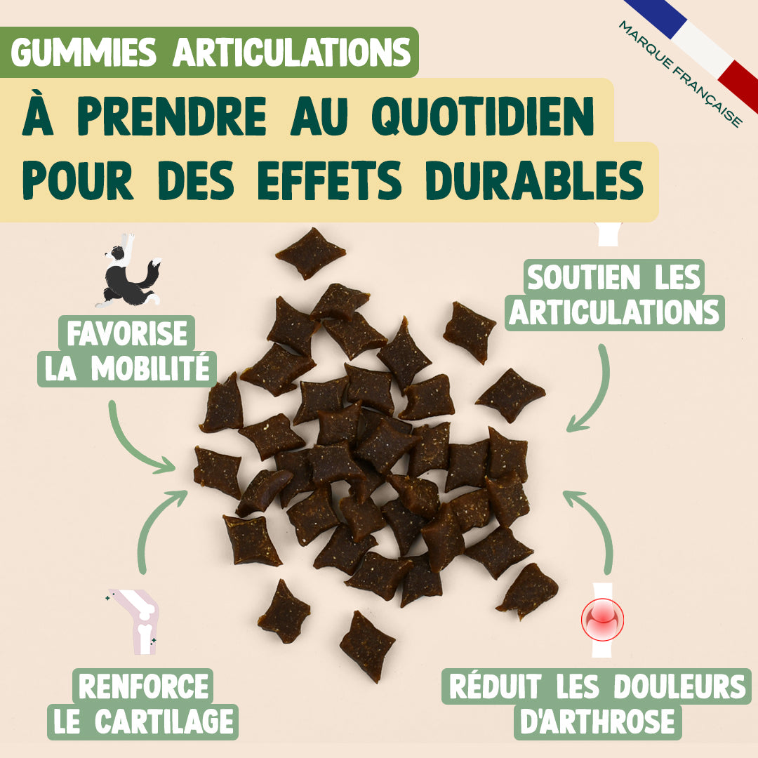 GUMMIES ARTICULATIONS