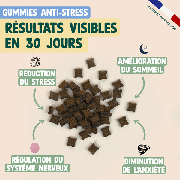 pack-pour-chien-stresse