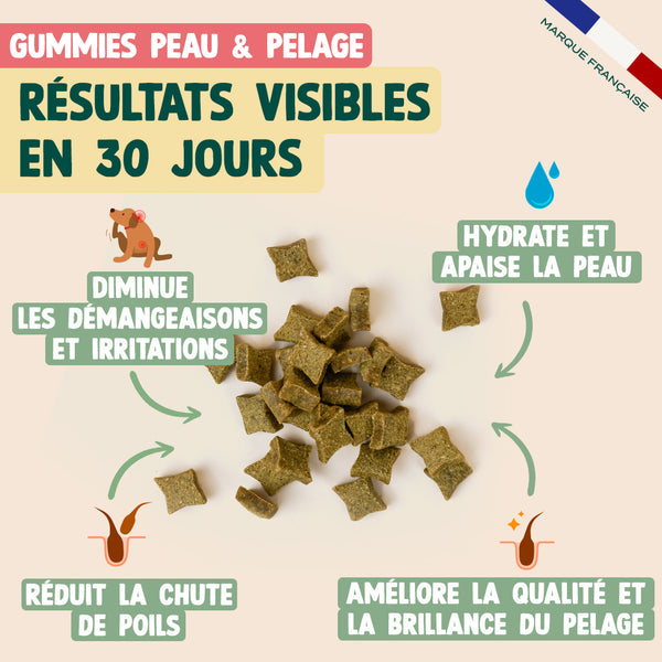 pack-peau-saine-pour-chien