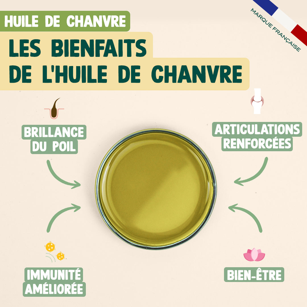 PACK POUR CHAT STRESSÉ