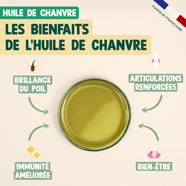 pack-pour-chien-stresse