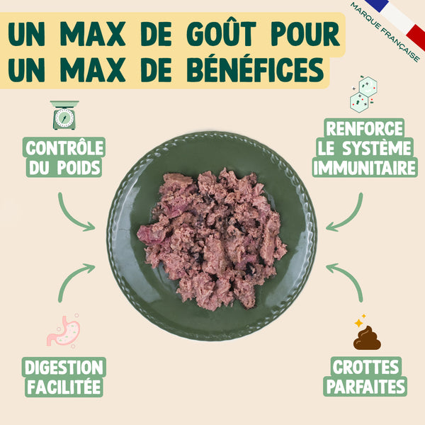 poulet-framboise-origan