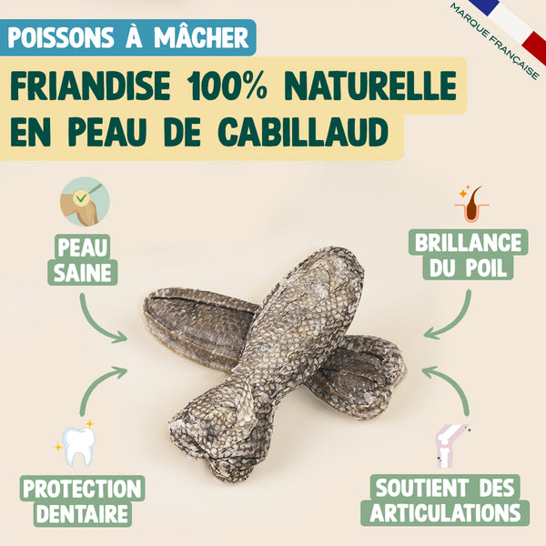 pack-decouverte-sticks-collagene