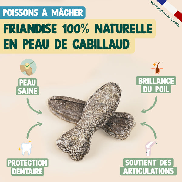 pack-peau-saine-pour-chien