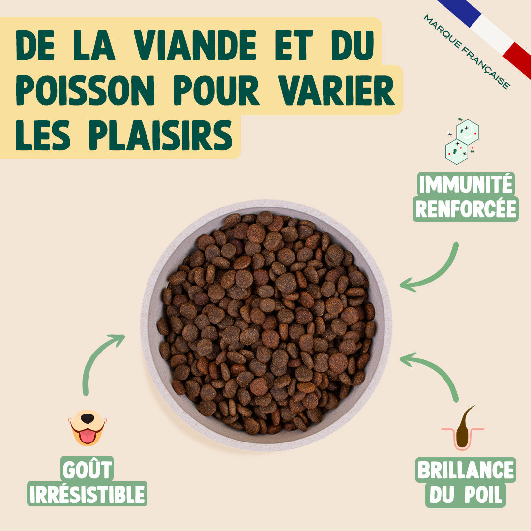 POULET, SAUMON, POMME