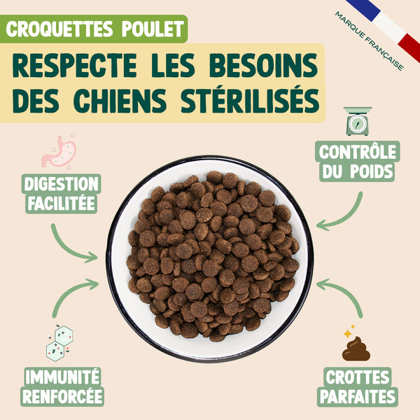 pack-pour-chien-sterilise