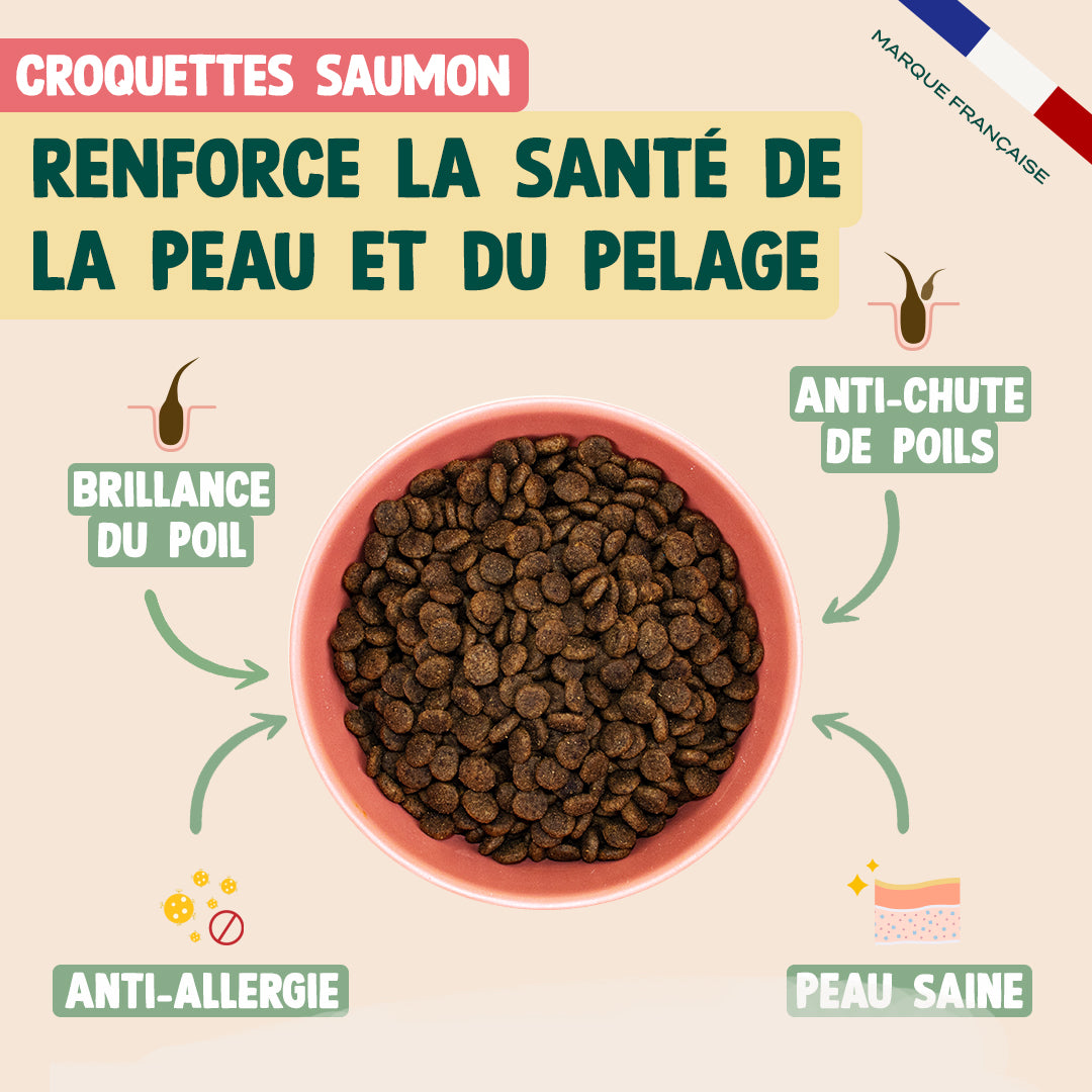 PACK POUR CHAT STRESSÉ