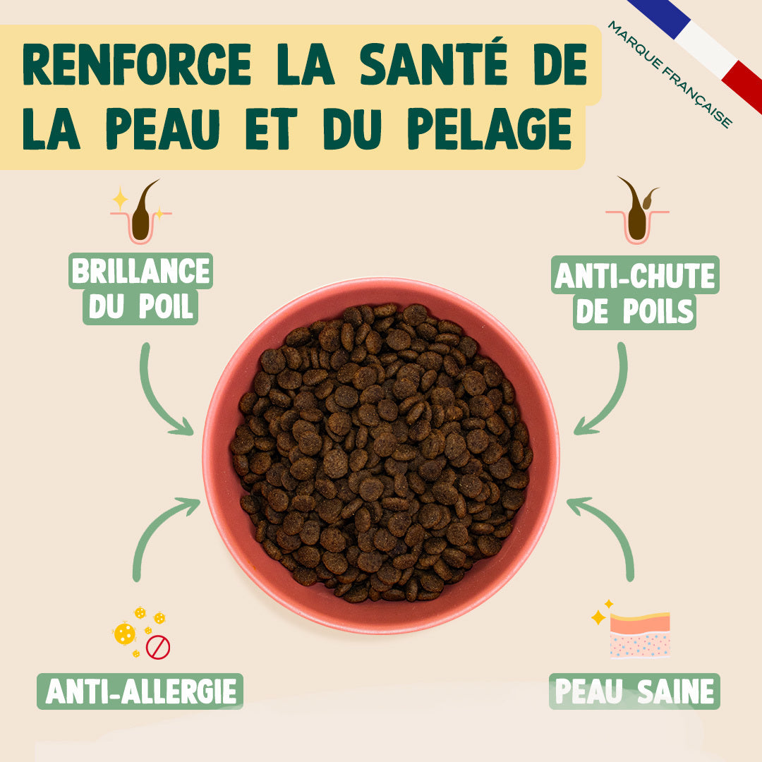 SAUMON, COURGE, CAMOMILLE