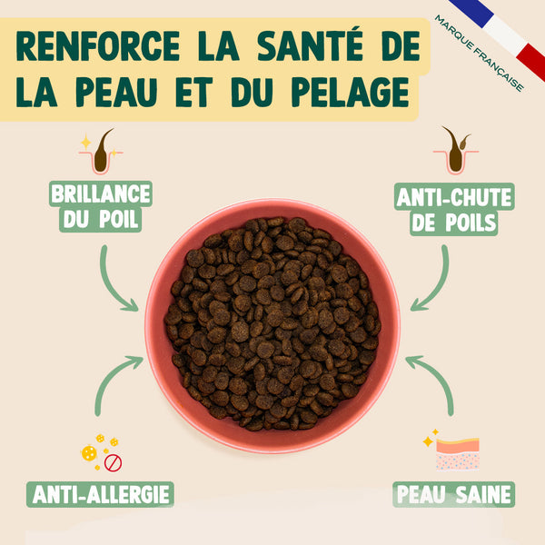 saumon-courge-camomille