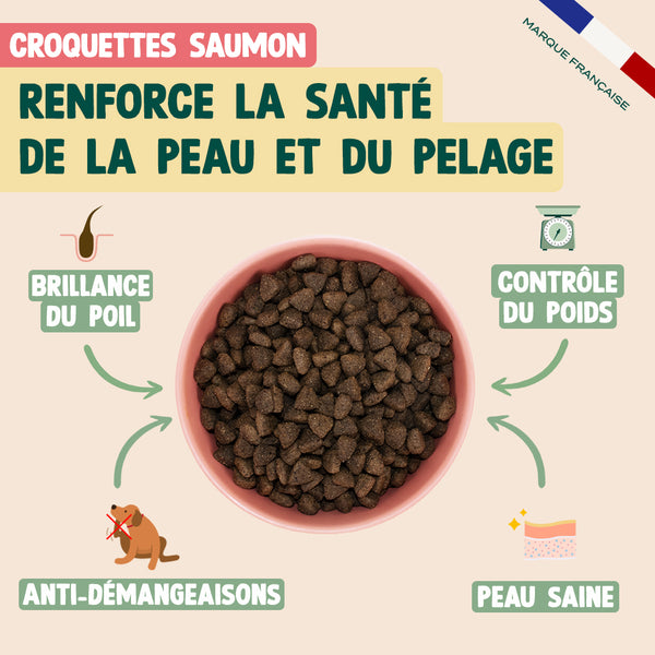 pack-peau-saine-pour-chien