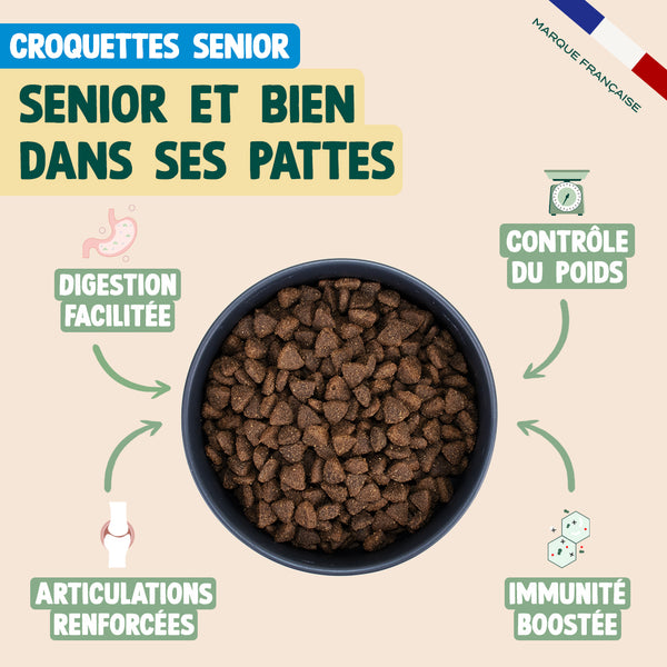 pack-chien-senior