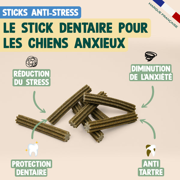 pack-decouverte-sticks-dentaires