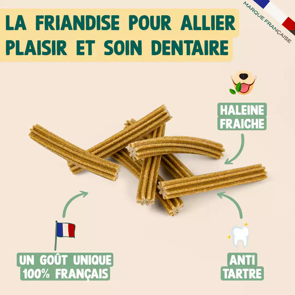 sticks-au-fromage