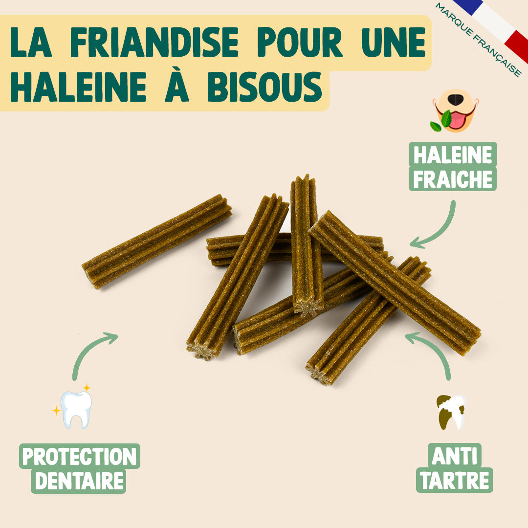 STICKS MENTHE, SAUGE