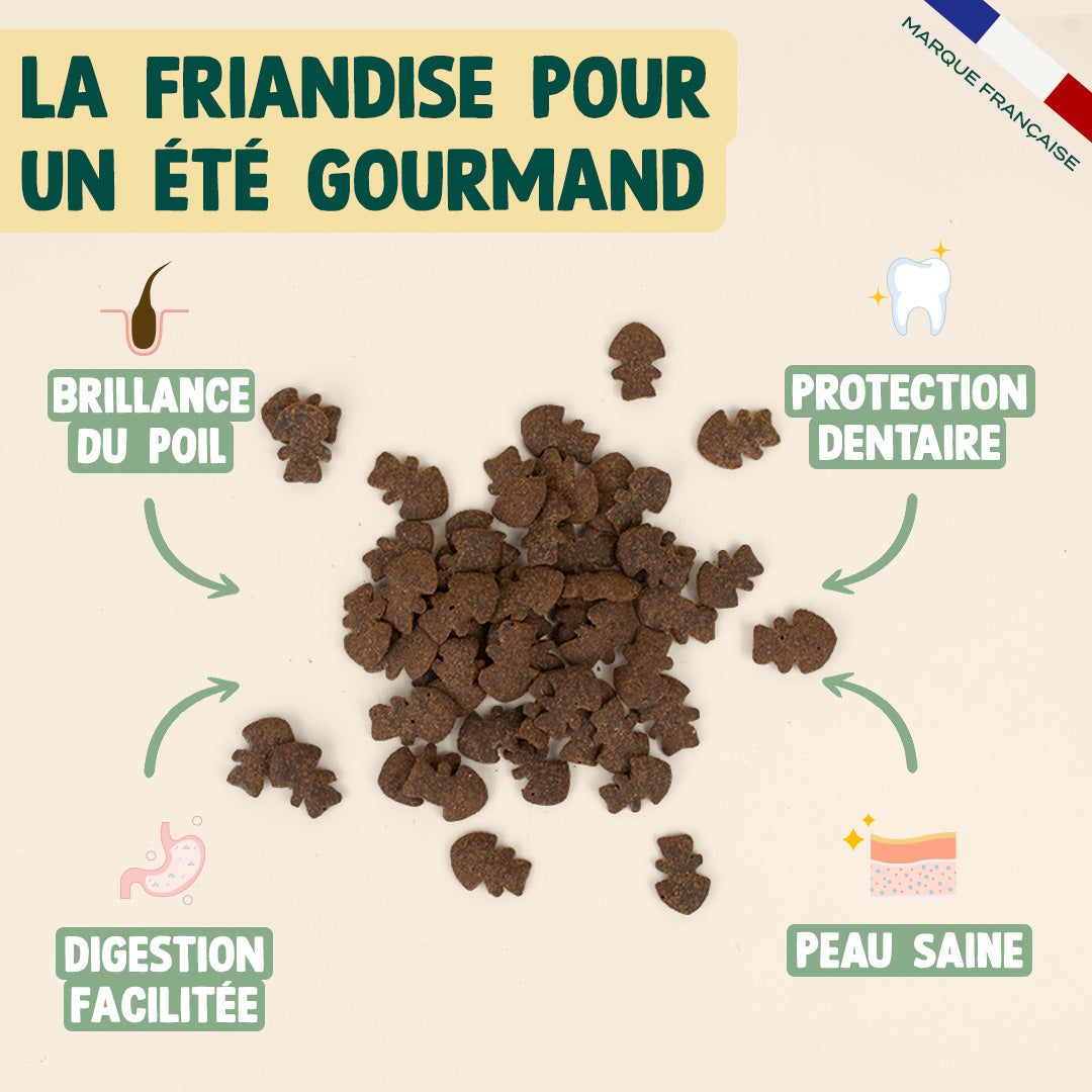 SUMMER SNACK HARENG, ROMARIN