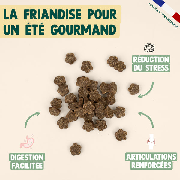 summer-snack-dinde-valeriane