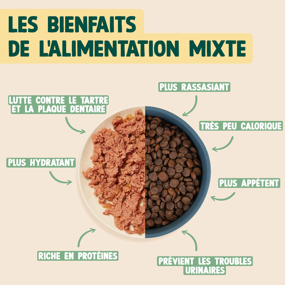 SANGLIER, MYRTILLE, ROMARIN