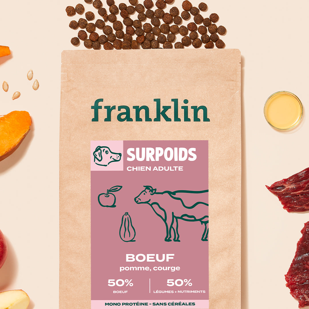 BOEUF, POMME, COURGE