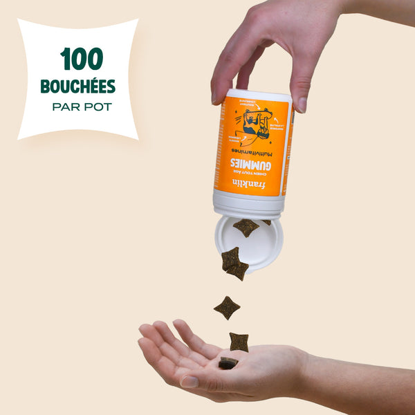 gummies-multivitamines