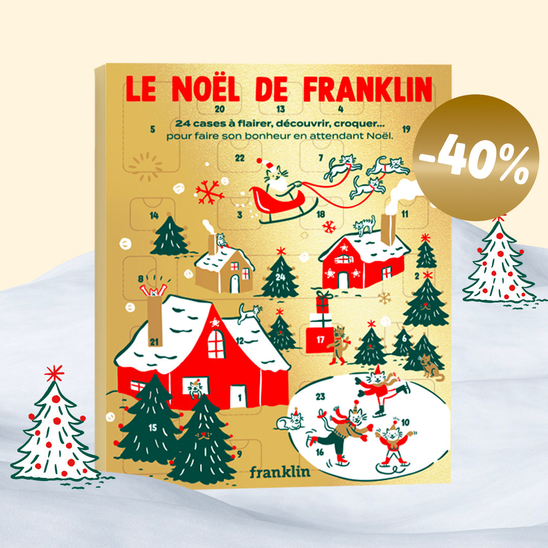 CALENDRIER DE L'AVENT CHAT