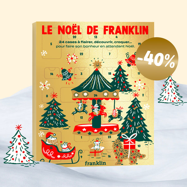 calendrier-de-l-39-avent-chien