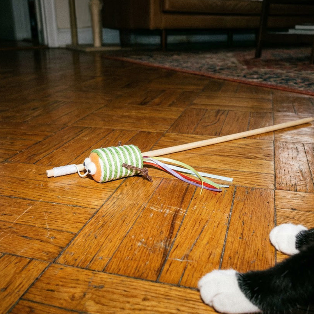 CANNE À PÊCHE CHAT