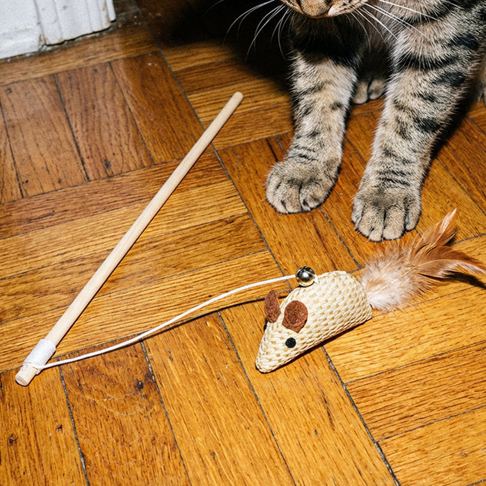 CANNE À PÊCHE CHAT (CADEAU)