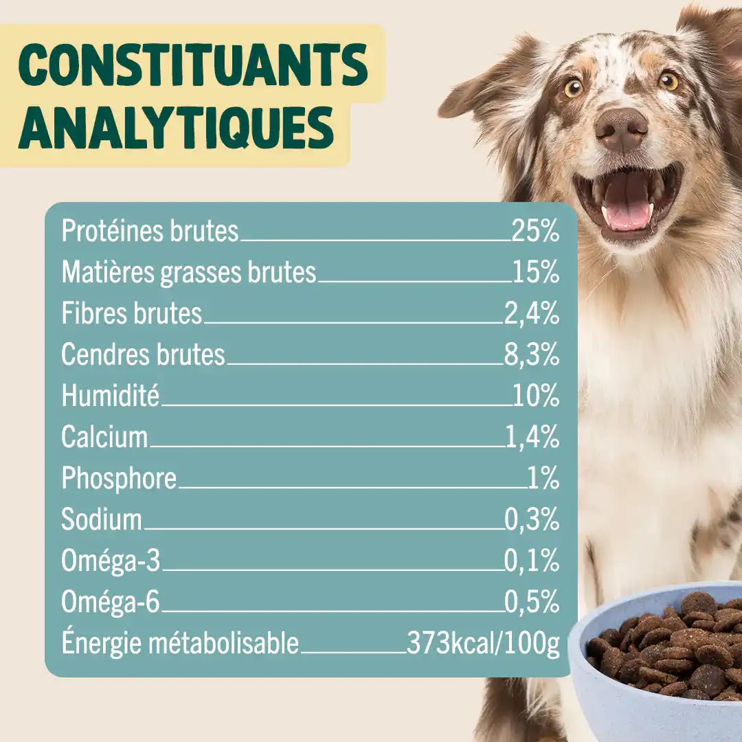 AGNEAU, PATATE DOUCE, MENTHE