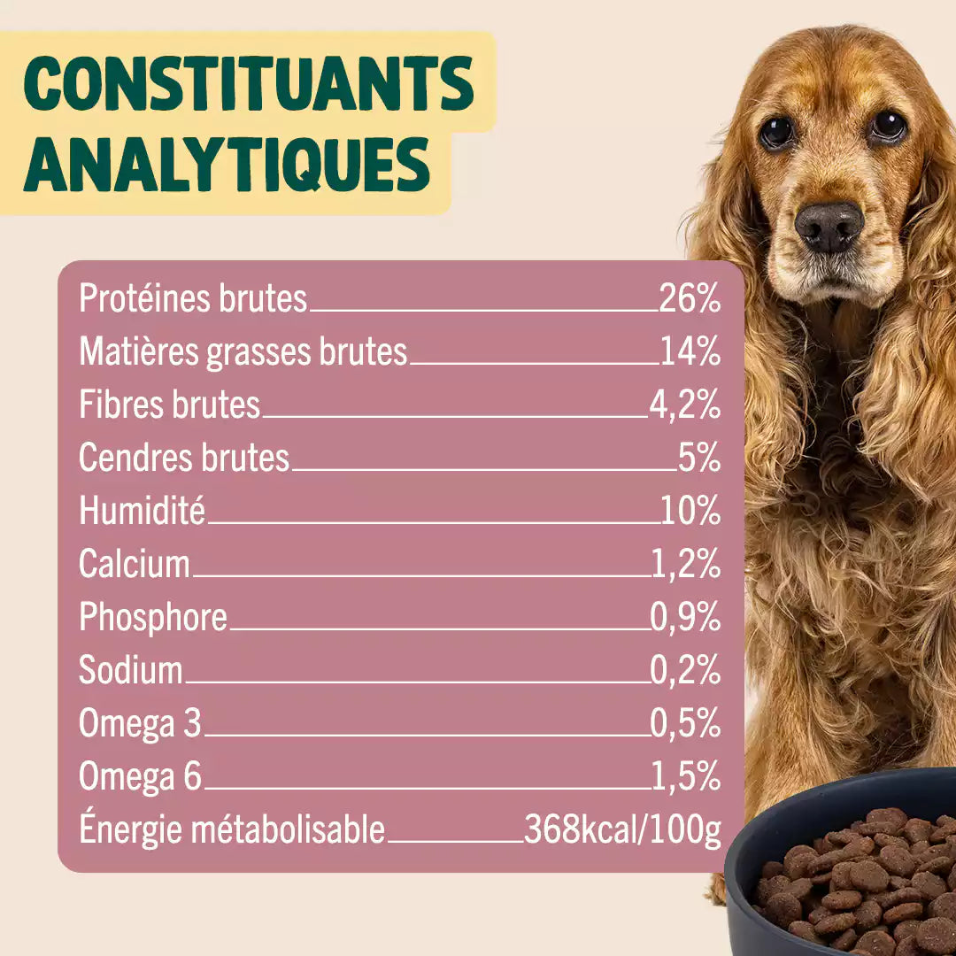 BOEUF, POMME, COURGE