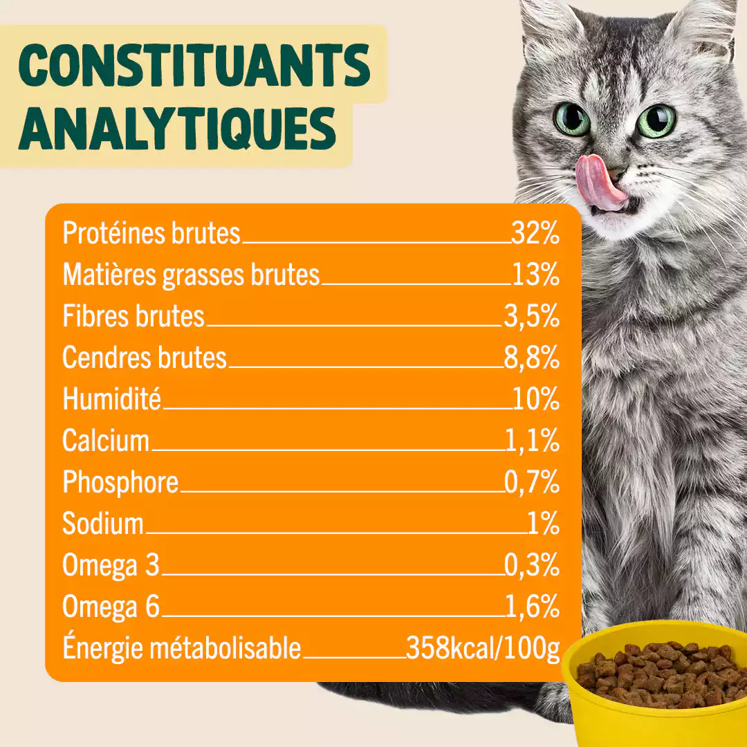 CANARD, COURGE, CAMOMILLE