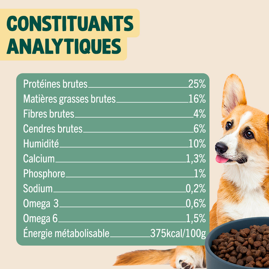 DINDE, CANARD, COURGE