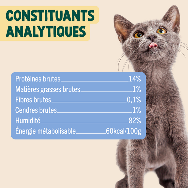 sardine-amp-maquereau