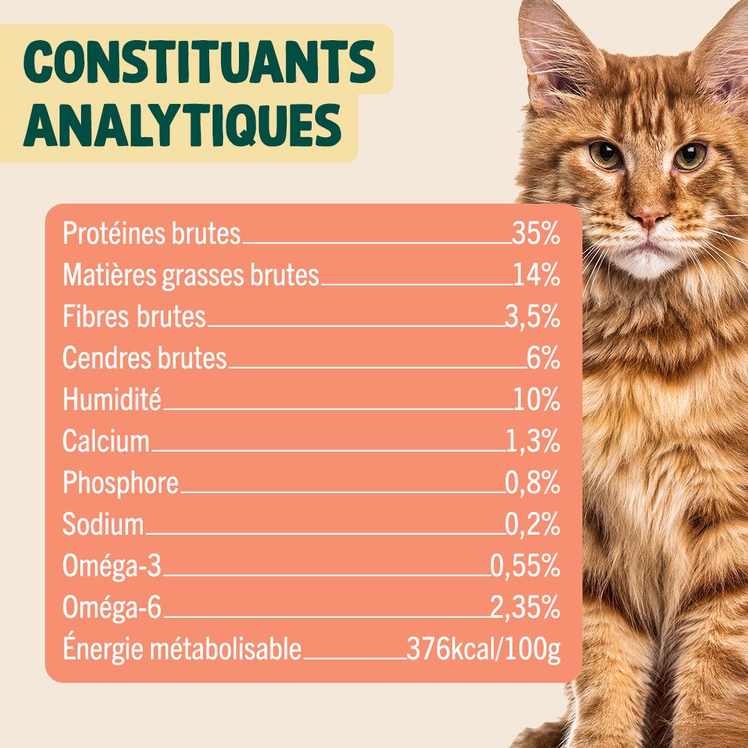 BISCROC' ANTI BOULES DE POILS