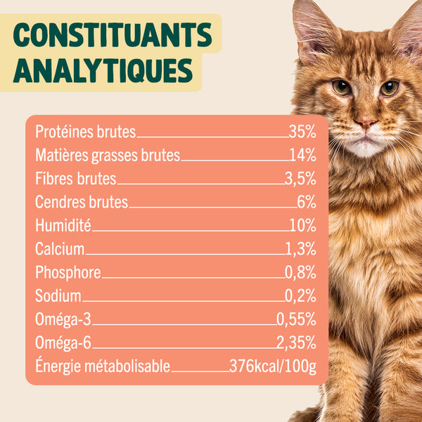 biscroc-39-anti-boules-de-poils