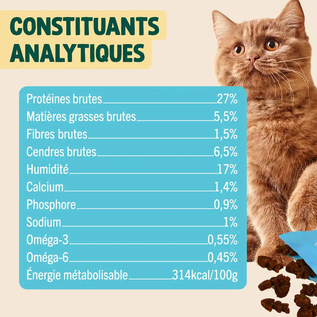 MINI SNACK DIGESTION