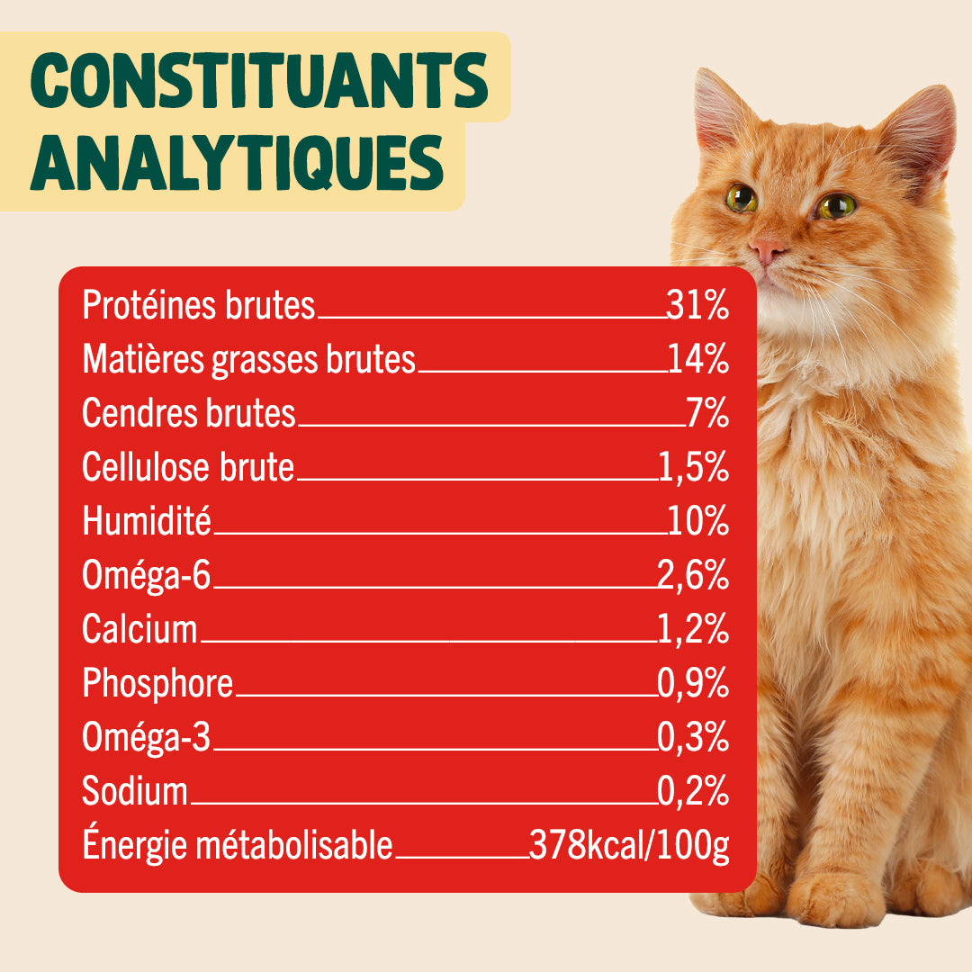 NOËL GOURMAND - CANARD, CRANBERRY