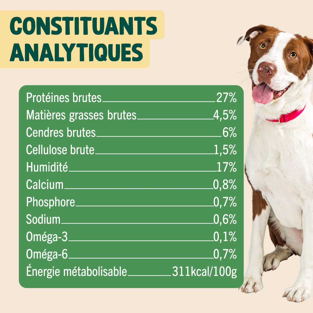 NOËL GOURMAND - DINDE, CHEDDAR