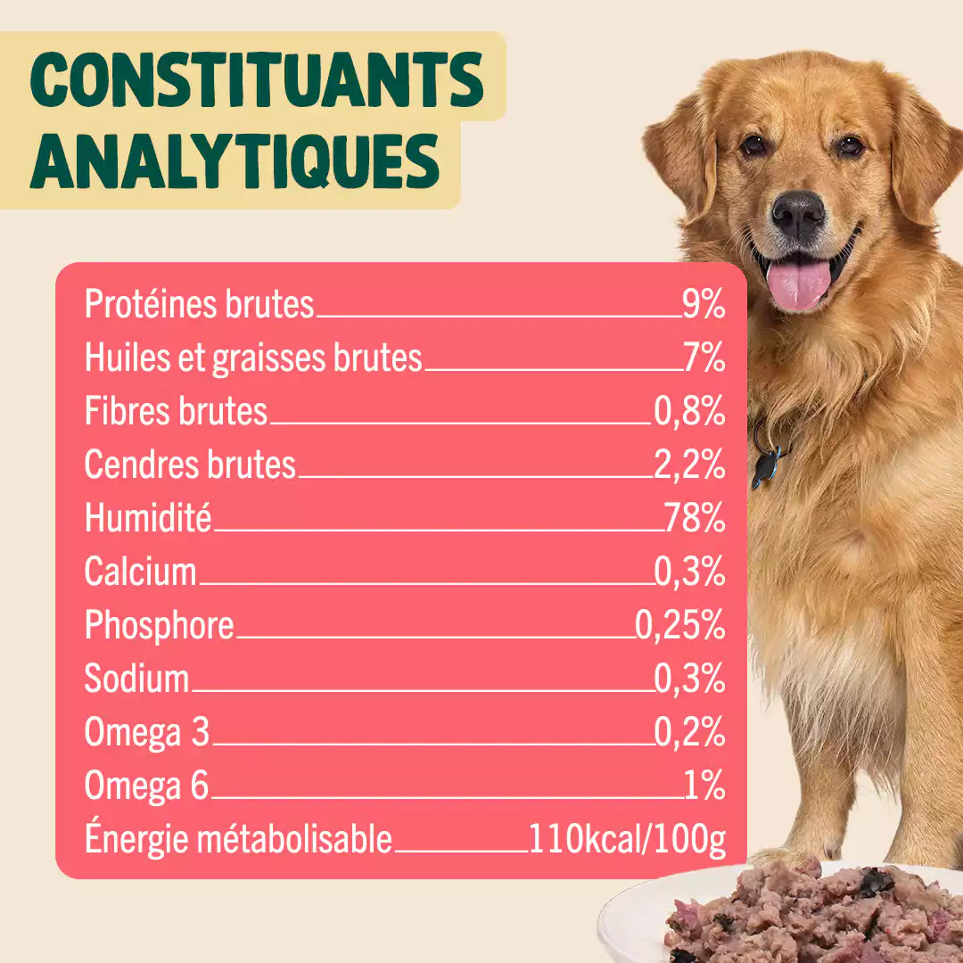 SAUMON, DINDE, CANNEBERGE