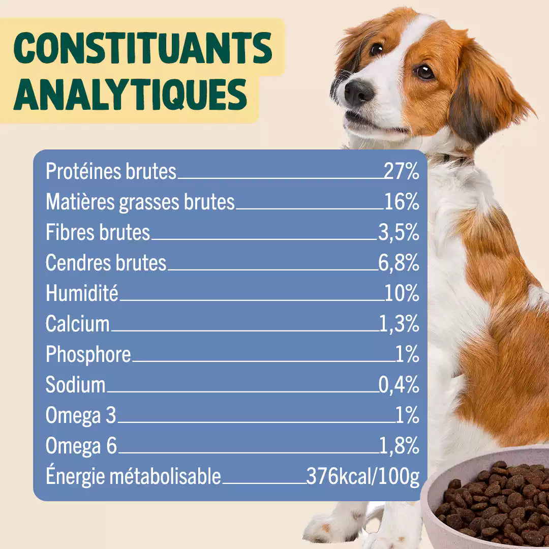 POULET, SAUMON, POMME