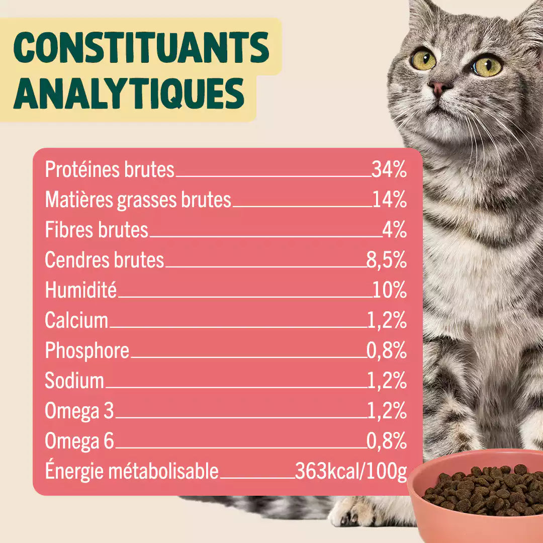 SAUMON, COURGE, CAMOMILLE