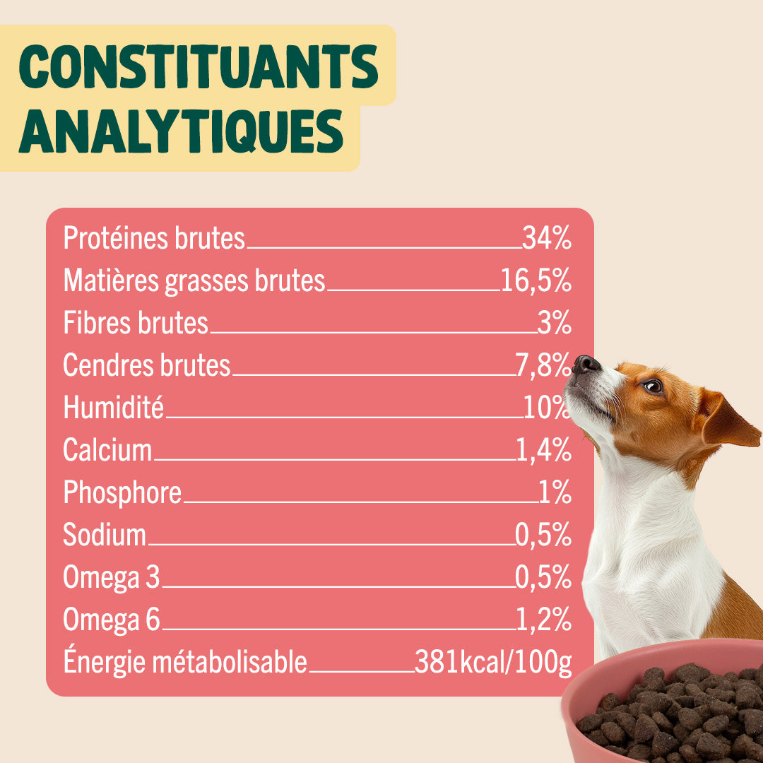 SAUMON, TRUITE, PERSIL