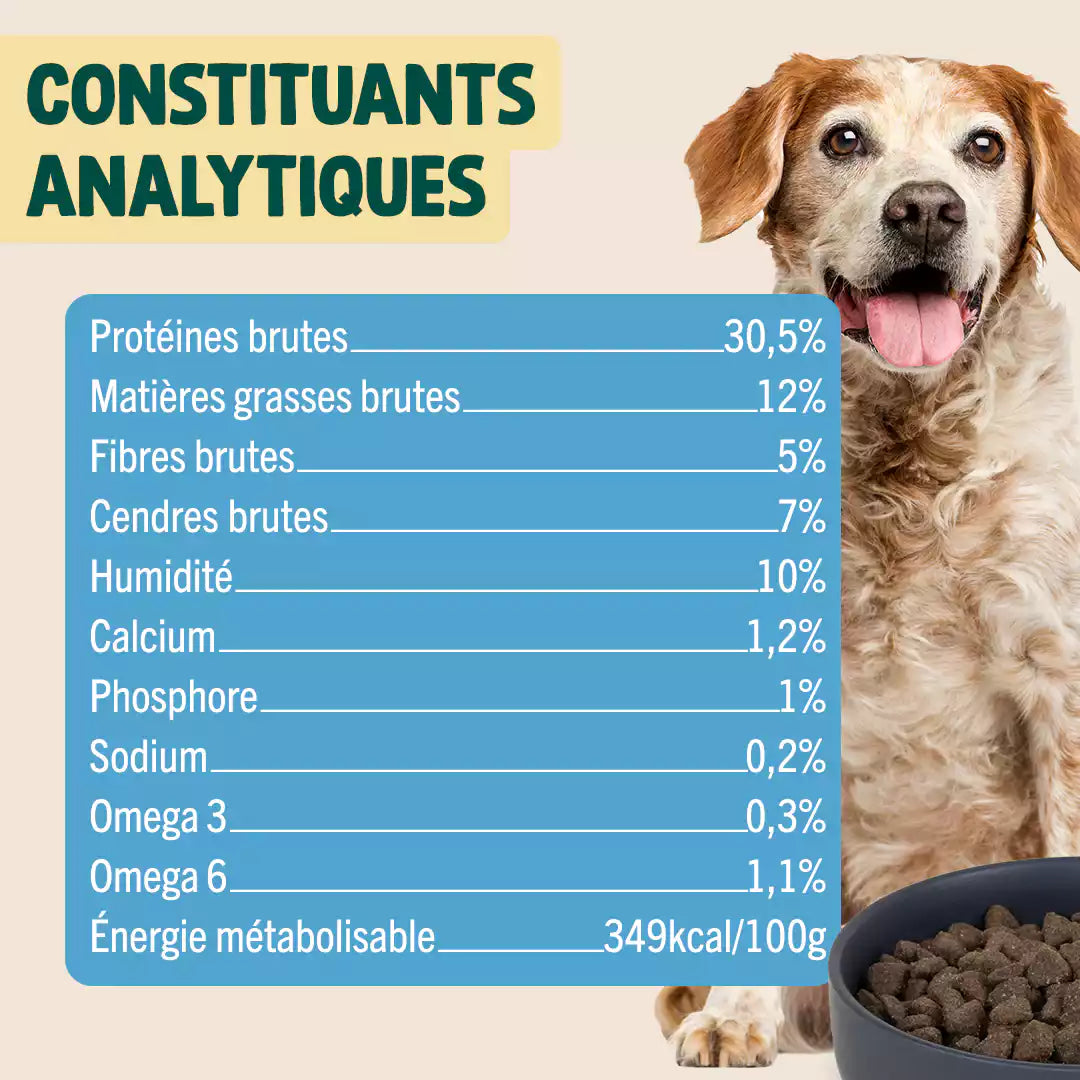 DINDE, COURGE, POIRE