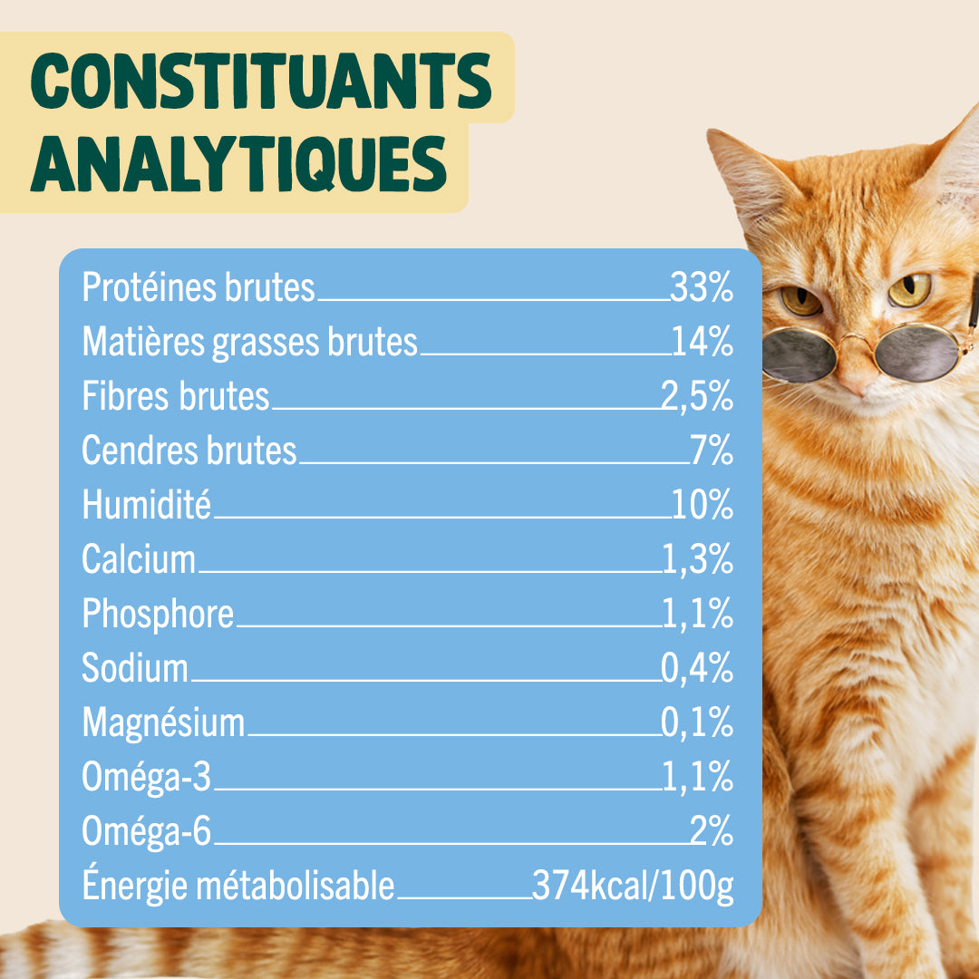 SUMMER SNACK HARENG, ROMARIN