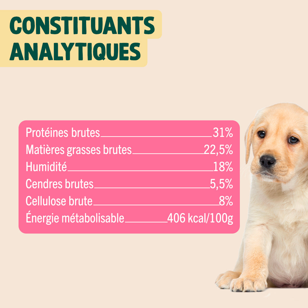 MINI VIANDE SÉCHÉE - BOEUF, ROMARIN