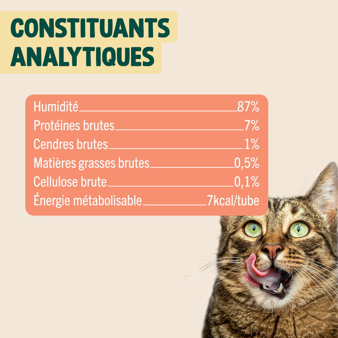 MINI TUBES CRÉMEUX THON