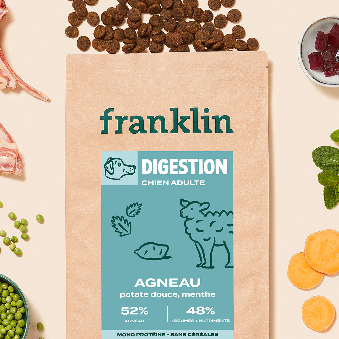 AGNEAU, PATATE DOUCE, MENTHE