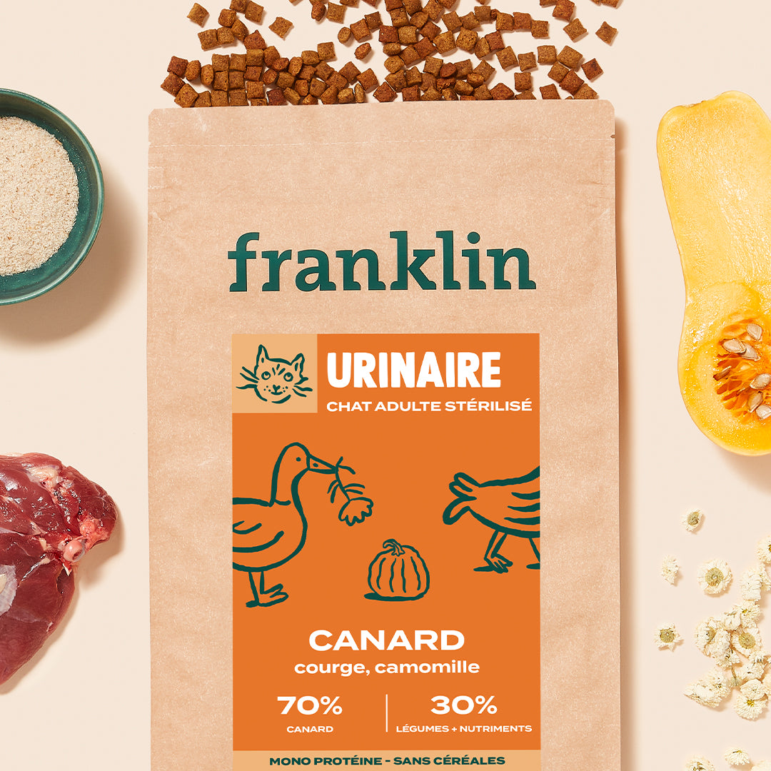 CANARD, COURGE, CAMOMILLE