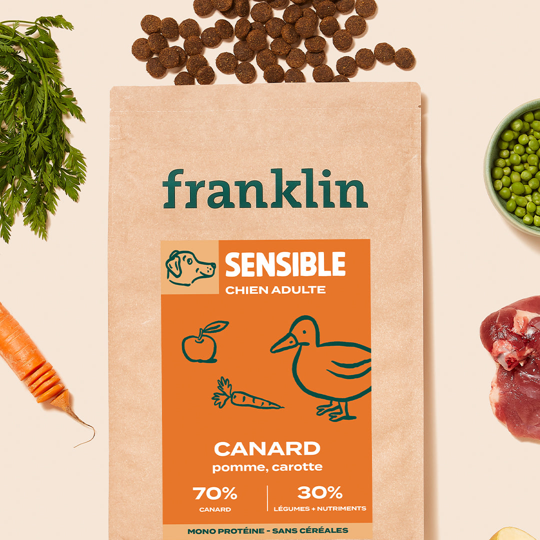 CANARD, POMME, CAROTTE